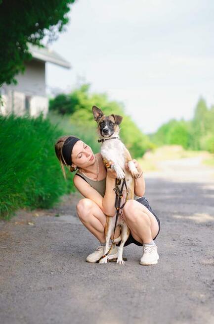 Młodziutka, zakochana w człowieku Pysia szuka domu!