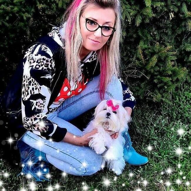 malutkie koreańskie szczenięta maltańczyki FCI/ZKwP, hodowla