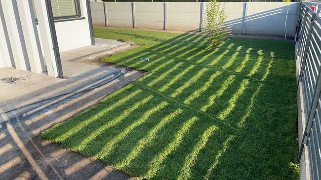 Trawa w rolce. Trawnik rolowany. Dostawa