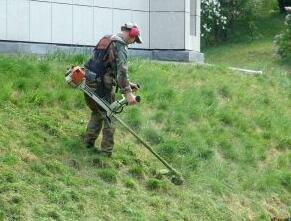 Kurs Operatora Pilarek Spalinowych + Upominek