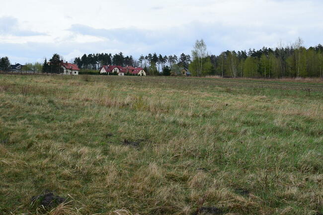 Grunty na Podkarpaciu poszukuję