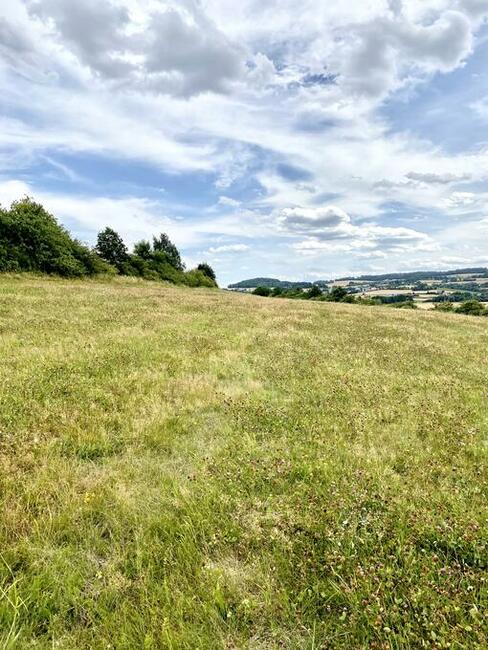 Na sprzedaż działka - Bielawa „Łysa Góra”