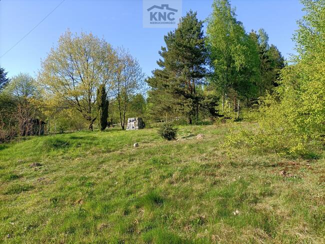 Lokal użytkowy Gródek gm. Policzna