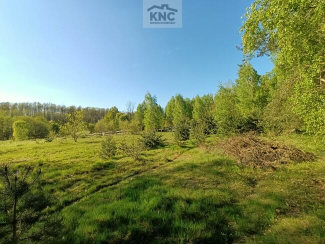 Lokal użytkowy Gródek gm. Policzna