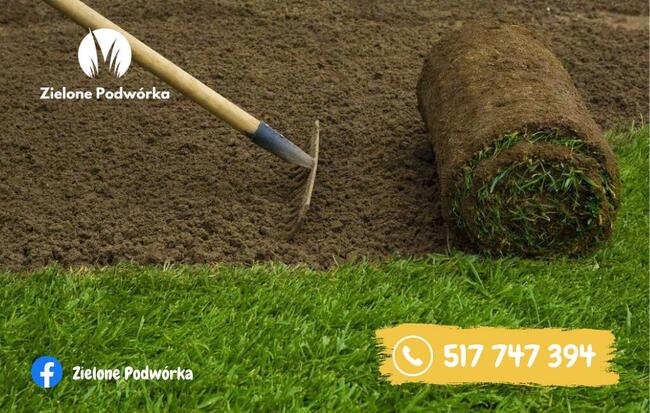 Trawa w rolce. Chłodzona próżniowo. Dostawa