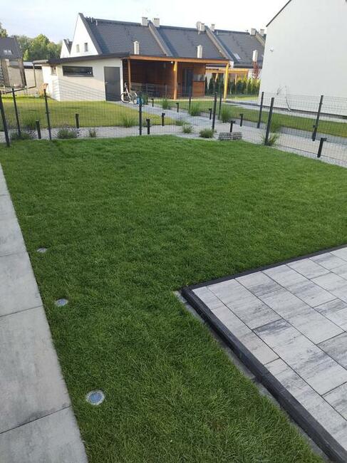 Trawa w rolce. Chłodzona próżniowo. Dostawa