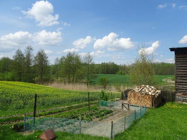 Bez czynszowe Mieszkanie po remoncie w miejscowości Trepki.