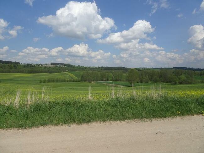 Bez czynszowe Mieszkanie po remoncie w miejscowości Trepki.