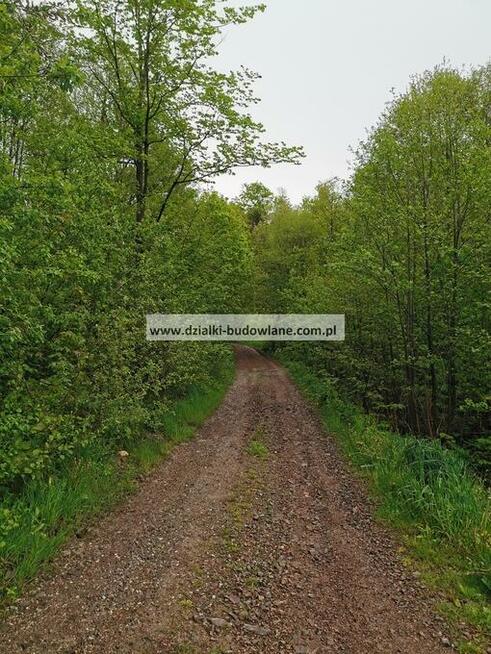 Działka budowlana pod Śnieżnikiem