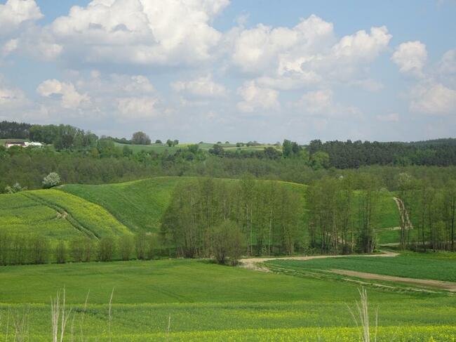 Bez czynszowe Mieszkanie po remoncie w miejscowości Trepki.