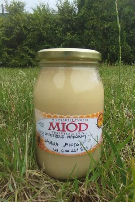 Świeży miód z pasieki na mazurach .