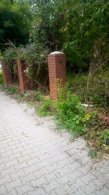 Rozbiórki .Demontaże.Brukarstwo, Studnie chłonne, Szamba.