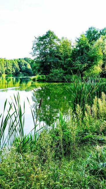 POZNAM PRZYJACIELA .