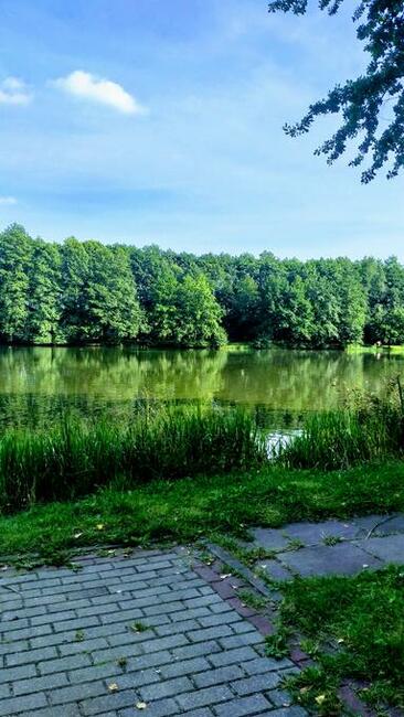 POZNAM PRZYJACIELA .