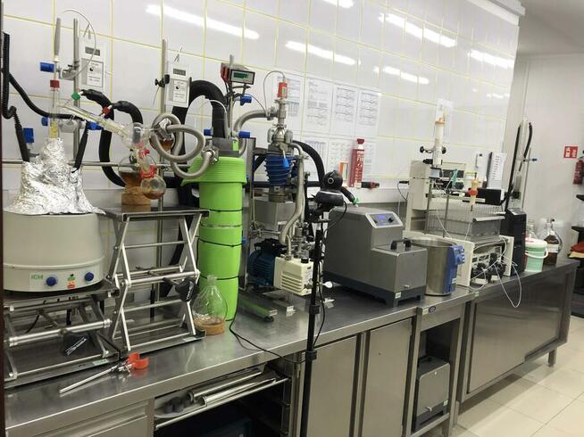 Ekstrakcja suszu roślinnego, chromatografia preparatywna.