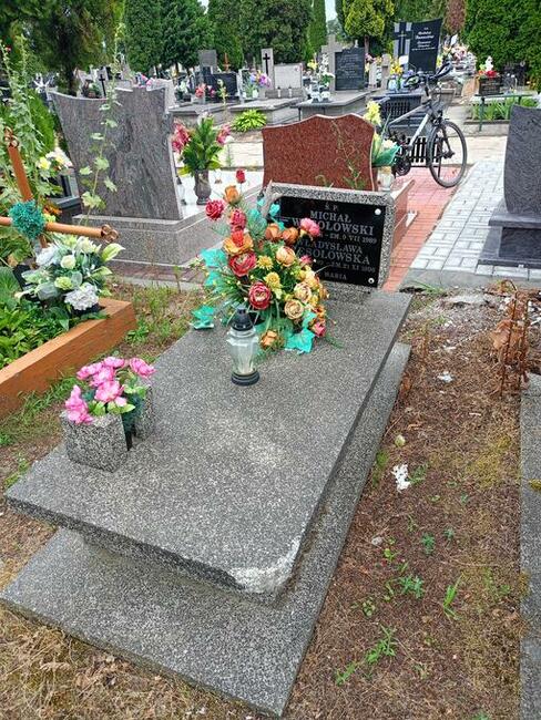 Odstąpienie za opłatą