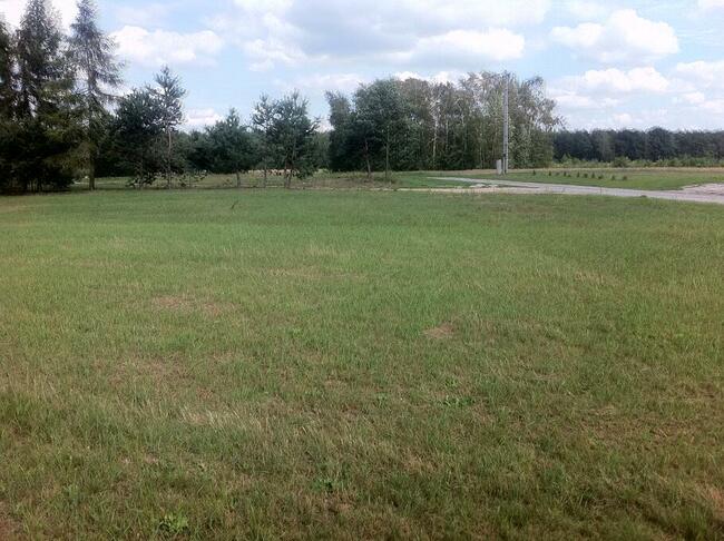 DZIAŁKI BUDOWLANE SAMORZĄDKI KOLONIA