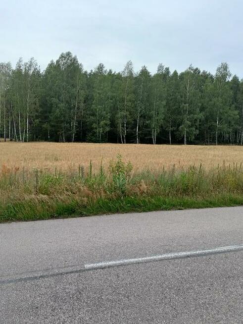 Sprzedam piękną działkę budowlaną z lasem na Kurpiach