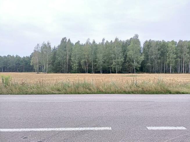 Sprzedam piękną działkę budowlaną z lasem na Kurpiach