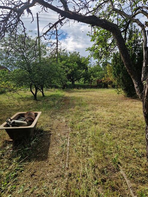 Działka ROD Minikowo