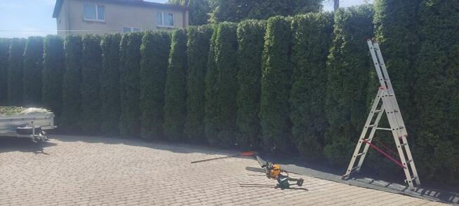 Usługi ogrodnicze, koszenie