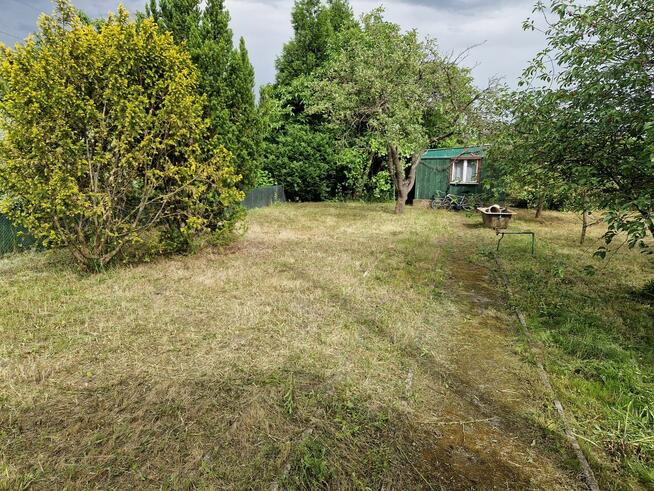 Działka ROD Minikowo