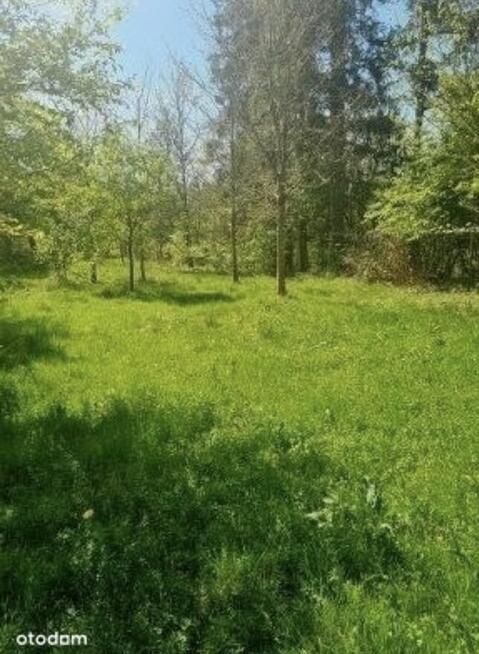 Działka pod zabudowę otoczona naturą