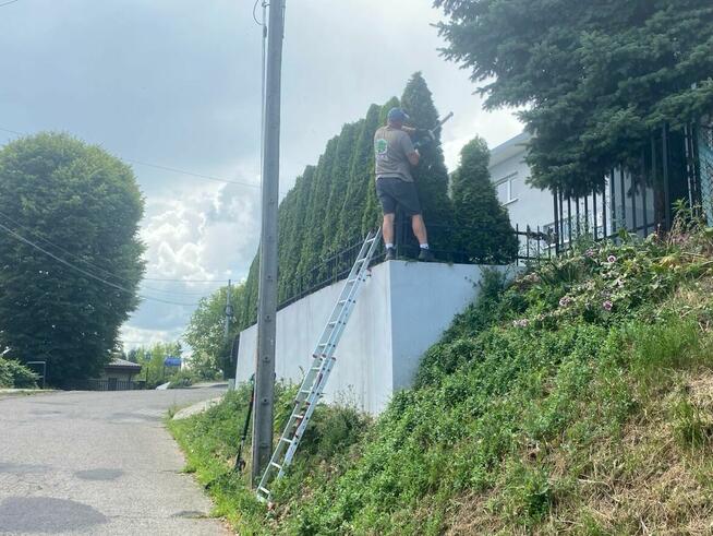 Usługi ogrodnicze, koszenie