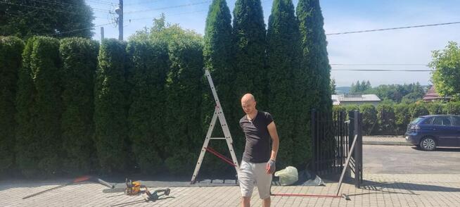 Usługi ogrodnicze, koszenie