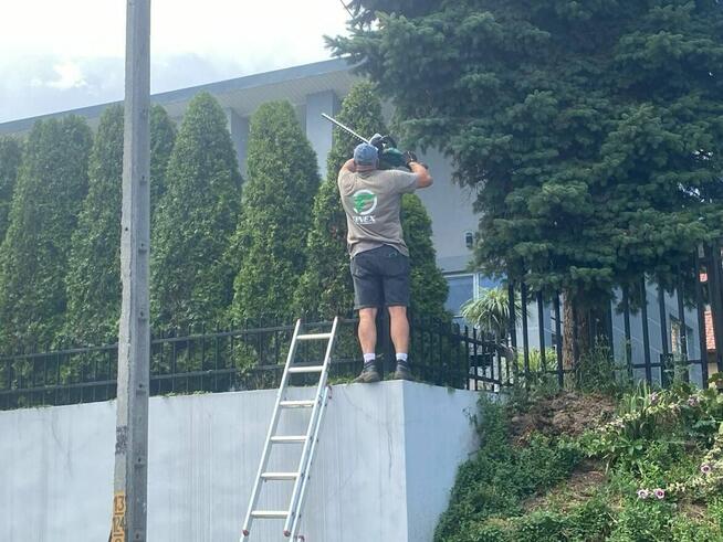 Usługi ogrodnicze, koszenie