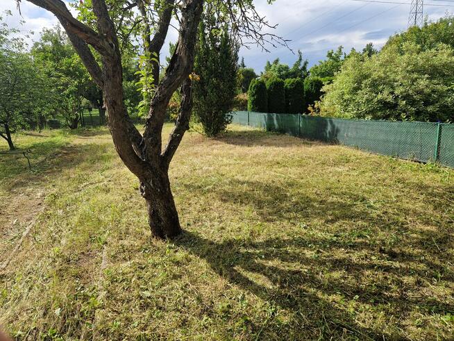 Działka ROD Minikowo