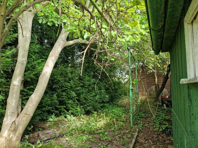 Działka ROD Minikowo