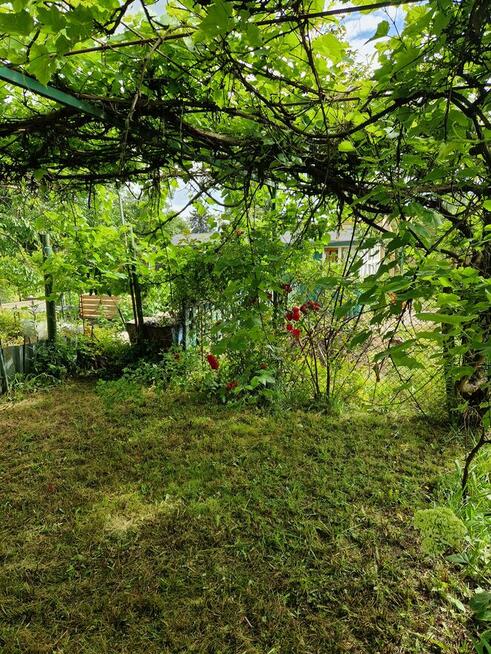 Działka ROD Minikowo