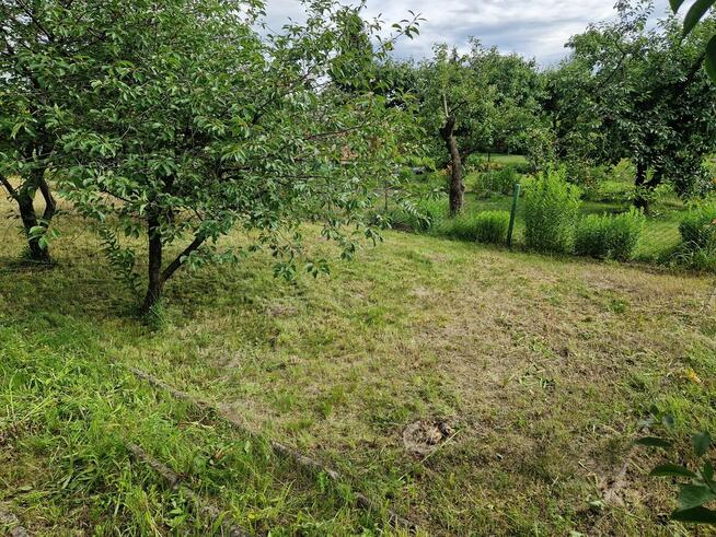 Działka ROD Minikowo