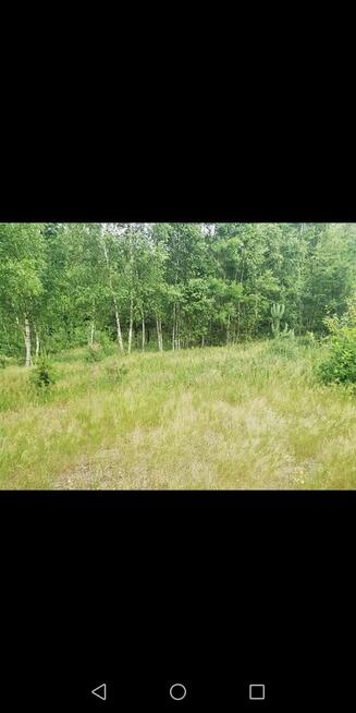 Sprzedam dwie piękne działki budowlano-rekreacyjne, las, rzeka