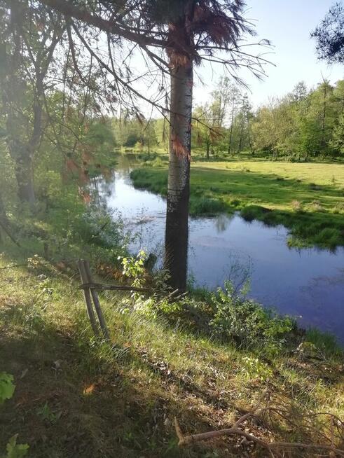 Sprzedam dwie piękne działki budowlano-rekreacyjne, las, rzeka