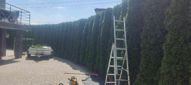 Usługi ogrodnicze, koszenie