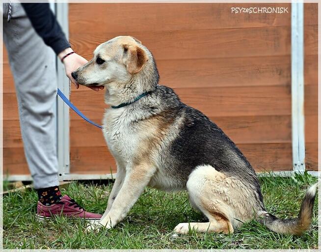 Julek - o rany! to jeszcze dzieciak