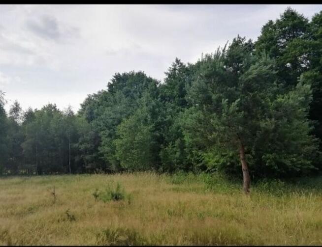 Sprzedam dwie piękne działki budowlano-rekreacyjne, las, rzeka