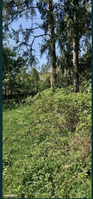 Działka pod zabudowę otoczona naturą