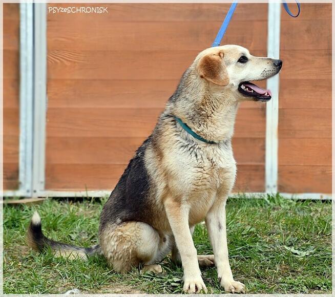 Julek - o rany! to jeszcze dzieciak