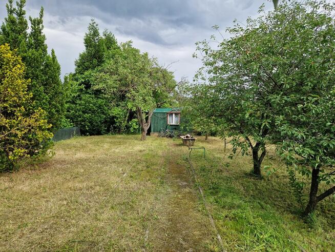 Działka ROD Minikowo