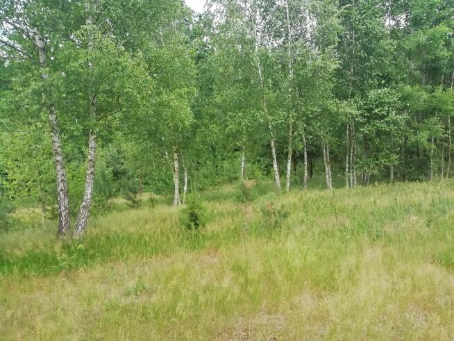 Sprzedam dwie piękne działki budowlano-rekreacyjne, las, rzeka