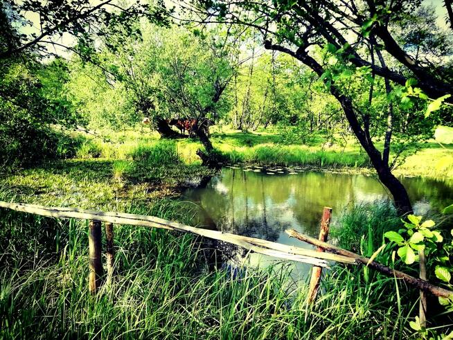 Sprzedam dwie piękne działki budowlano-rekreacyjne, las, rzeka