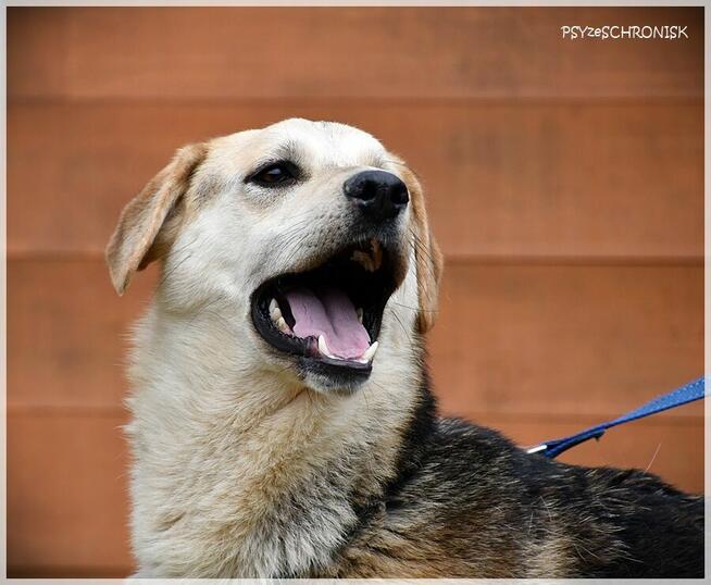 Julek - o rany! to jeszcze dzieciak