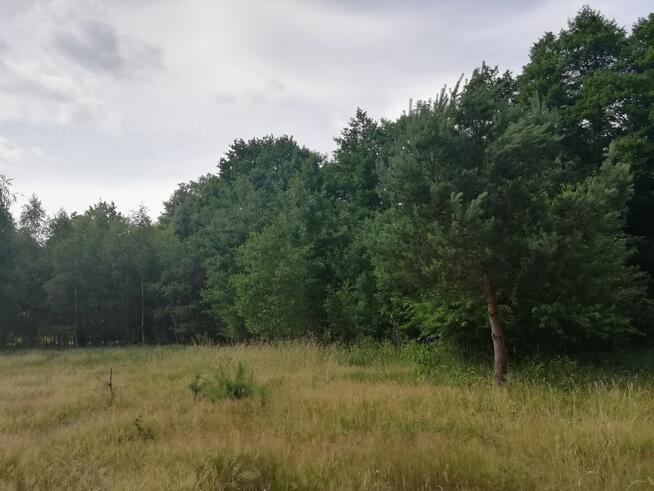 Sprzedam dwie piękne działki budowlano-rekreacyjne, las, rzeka