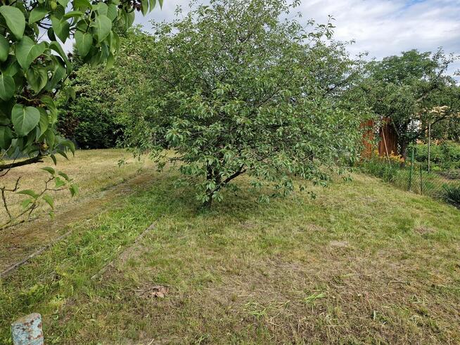 Działka ROD Minikowo