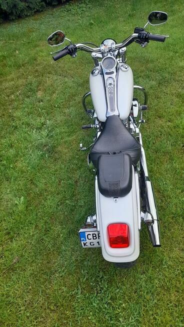 HARLEY SOFTAIL 2005 Pilne !!