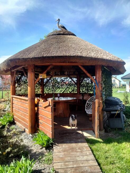 Altana ogrodowa z trzćiny