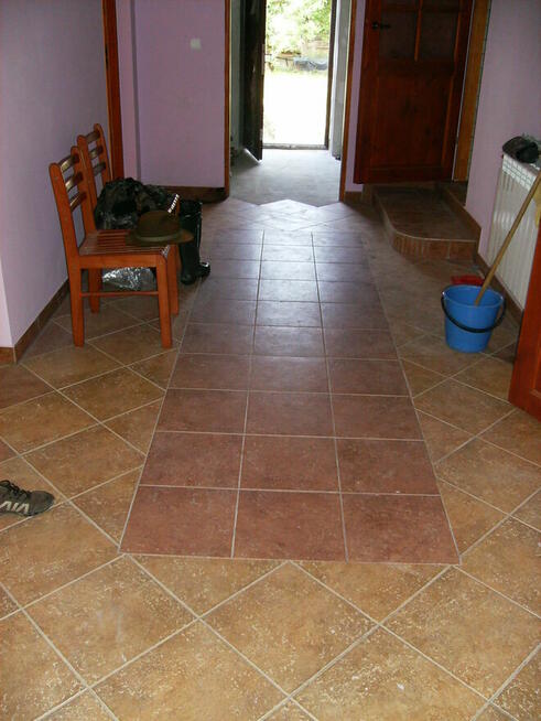 Gospodarstwo rolne jedna działka 6,5 h i Dwa Domy